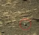 Mars Mystery Object Avi Loeb Urges NASA Investigation