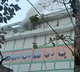 Sai Balaji Cold Storage Fire Spreads to Second Chamber in Madhira