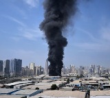 US Allies Saudi and UAE Edge Towards Joining Iran War