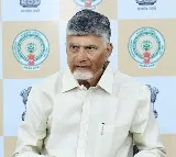 Chandrababu Naidu Focuses on Reducing Electricity Costs in Andhra Pradesh