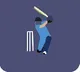 Indian Sports Economy Surpasses 2 Billion Dollars Driven by Cricket