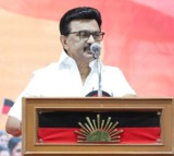 DMK to contest 165 seats, alliance finalised; Stalin calls for unity ahead of TN polls