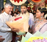 Dhulipalla Narendra Kumar Daughters Wedding Attended by CM Chandrababu