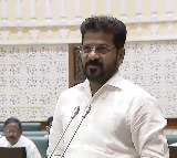 Healthcare, education our top priorities, says Telangana CM