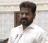 Revanth Reddy Prioritizes Education Healthcare Sectors in Telangana