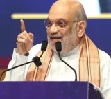Modi govt's decision to cut excise duty on fuel brings much-needed relief to citizens: Amit Shah