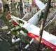 Medical Drone Crash in Alluri Sitarama Raju District