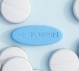 Metformin New Study Reveals Impact on Brain