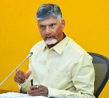 Chandrababu Naidu Writes to Center for Maize Farmers Support