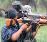 Chelluri Narayana Rao Key Maoist Leader Surrenders to AP Police