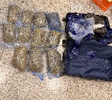 Hydroponic weeds worth Rs 8.9 crore seized at Hyderabad Airport
