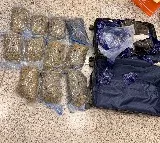 Hydroponic weeds worth Rs 8.9 crore seized at Hyderabad Airport
