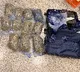 Hydroponic weeds worth Rs 8.9 crore seized at Hyderabad Airport