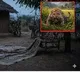 Infant Killed by Leopard in Maharashtra Jalgaon District