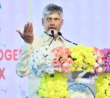 Chandrababu Naidu Slams Political Attacks Worse Than Hit and Run