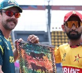 Zimbabwe to host Australia for ODI series in September