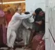 Women Attacked at Jodhpur Balaji Temple in Rajasthan
