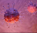 Cicada Variant Spreading in US Threat to India