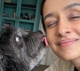 Shraddha Kapoor celebrates pet Shyloh’s 15th birthday, treats him with a special cake