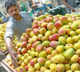 Tight vigil by Hyderabad Police to check sale of chemically ripened mangoes