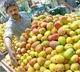 Tight vigil by Hyderabad Police to check sale of chemically ripened mangoes