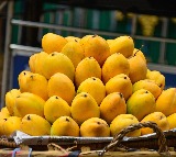 Sajjanar warns against artificially ripened mangoes