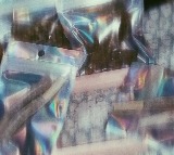 IAS Officer Son Tests Positive in Hyderabad Drug Case Hema Negative