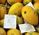 Adulterated Mangoes Racket Busted in Hyderabad