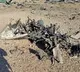 America Destroys Own Aircraft Worth Rs 931 Crore in Iran