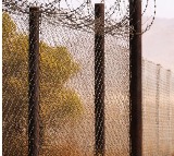 India Bangladesh Border Security Using Snakes Crocodiles