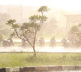 Eluru District Rain and Storm Cause Havoc