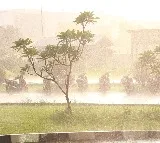 Eluru District Rain and Storm Cause Havoc