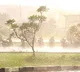 Eluru District Rain and Storm Cause Havoc