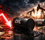 Oil falls after Trump signals Iran pause