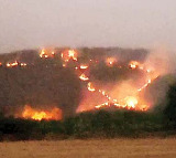 Nallamala Forest Fire Massive Wildfire in Nandyala District