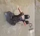 Three Andhra Teen Girls Drown While Taking Photos At Waterfall
