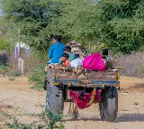 Madhya Pradesh Village Borsar Implements Unique Punishment for Swearing