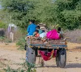 Madhya Pradesh Village Borsar Implements Unique Punishment for Swearing