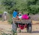 Madhya Pradesh Village Borsar Implements Unique Punishment for Swearing