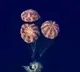 Artemis II Successfully Returns to Earth After Historic Mission