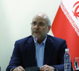 Gaining Iran's trust sole way for US to find exit from current situation: Iranian parliament speaker
