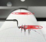 Nevada Earthquake People Flee Homes