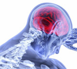 High-salt diet linked to faster memory decline in men: Study