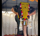 PETA India gifts robotic elephant to Kerala temple