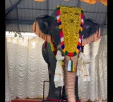 PETA India gifts robotic elephant to Kerala temple