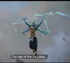 Rajamouli on Baahubali at Annecy Festival animation is limitless