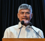 Andhra CM Chandrababu Naidu directs officials to make efforts to achieve 15 pc growth rate
