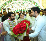 Nara Lokesh Attends Kotamreddy Srinivasulu Reddy Sons Wedding Reception