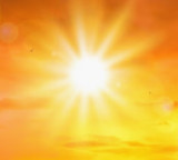 Telangana districts issued orange alert for heatwave