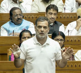 Rahul Gandhi hails Constitution as women's quota amendment bill falters